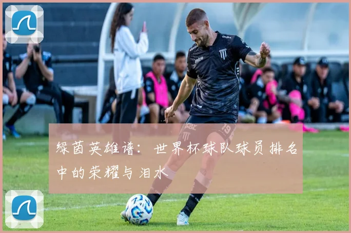 绿茵英雄谱：世界杯球队球员排名中的荣耀与泪水