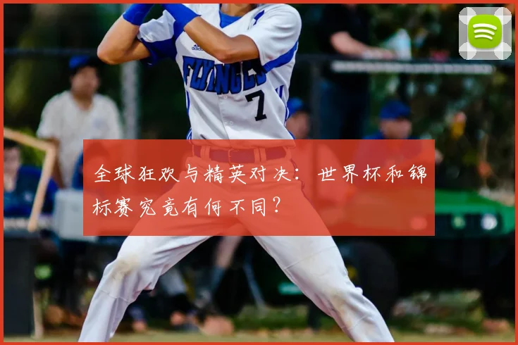 全球狂欢与精英对决：世界杯和锦标赛究竟有何不同？