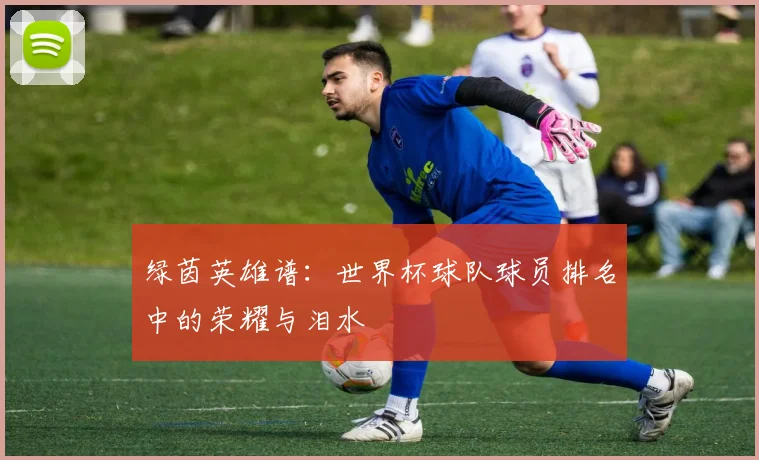 绿茵英雄谱：世界杯球队球员排名中的荣耀与泪水