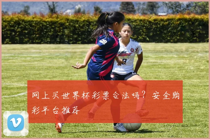 网上买世界杯彩票合法吗？安全购彩平台推荐