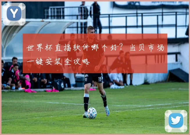 世界杯直播软件哪个好？当贝市场一键安装全攻略