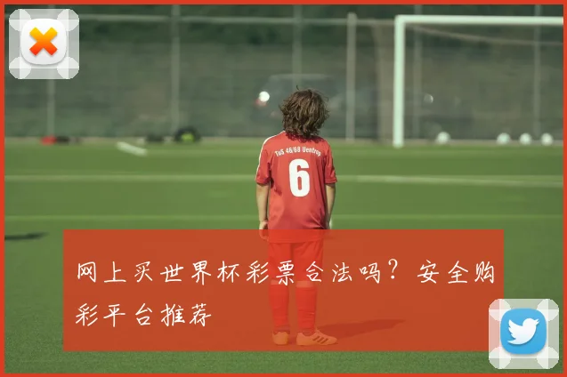 网上买世界杯彩票合法吗？安全购彩平台推荐